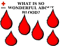 blood red cross.ppt